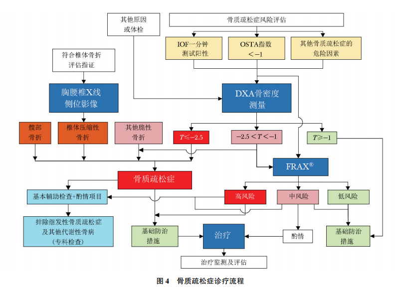 骨质疏松症诊疗流程
